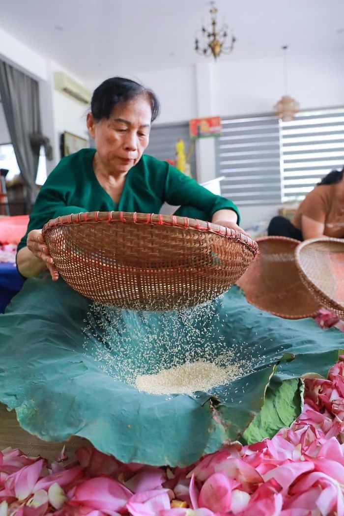 Mỗi lạng gạo sen phải cần tới 100 - 120 bông sen. Ảnh: Khánh Hòa – TTXVN