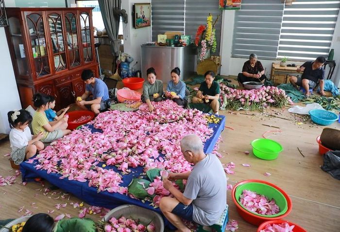 Gia đình nghệ nhân Ngô Văn Xiêm (phường Tây Hồ) thực hiện các công đoạn ướp trà sen. Ảnh: Khánh Hòa – TTXVN