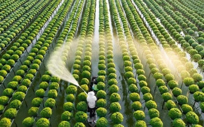 Bộ Nông nghiệp và Môi trường chủ trì xây dựng, hoàn thiện dự án Luật theo đúng quy định, trình Ủy ban Thường vụ Quốc hội quyết định bổ sung dự án Luật vào Chương trình Kỳ họp không thường lệ năm 2026 của Quốc hội (dự kiến tổ chức vào cuối tháng 7 hoặc đầu tháng 8/2026).