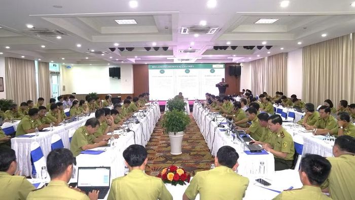 Quang cảnh hội nghị triển khai Nghị định số 146/2026/NĐ-CP của Chính phủ quy định xử phạt vi phạm hành chính trong lĩnh vực lâm nghiệp.