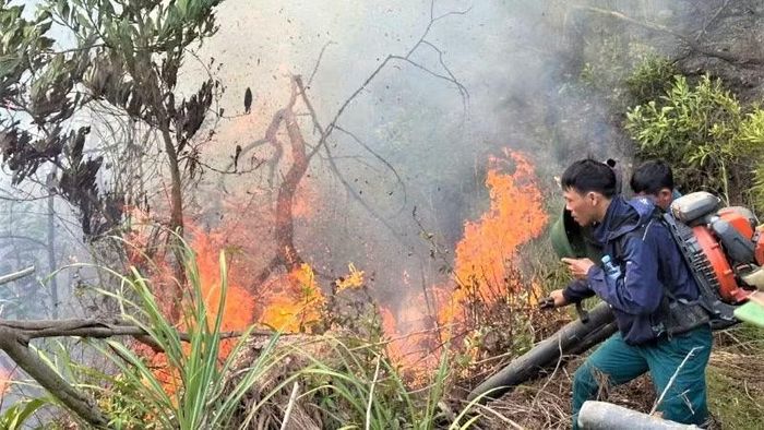 Các lực lượng nỗ lực khống chế ngọn lửa.
