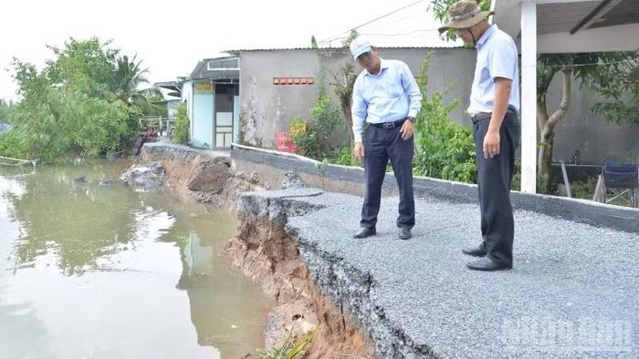 Lãnh đạo Sở Nông nghiệp và Môi trường tỉnh Đồng Tháp khảo sát điểm sạt lở tại bờ Tây kênh Cổ Cò.