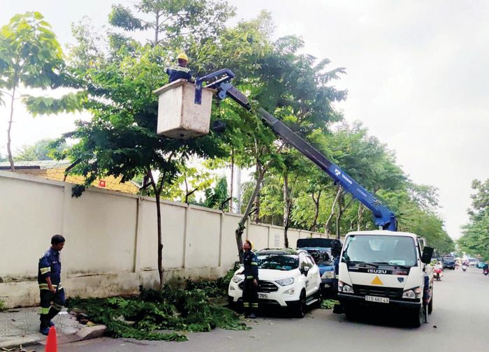 Công nhân cắt tỉa cành nhánh, hạ độ cao cây xanh trên đường Phan Văn Trị, phường Hạnh Thông, TPHCM. Ảnh: THANH HIỀN