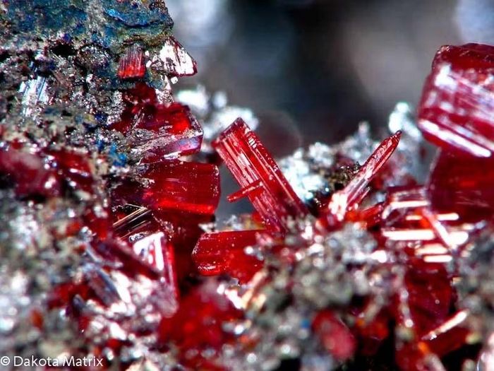 Ảnh: Dakota Matrix Minerals