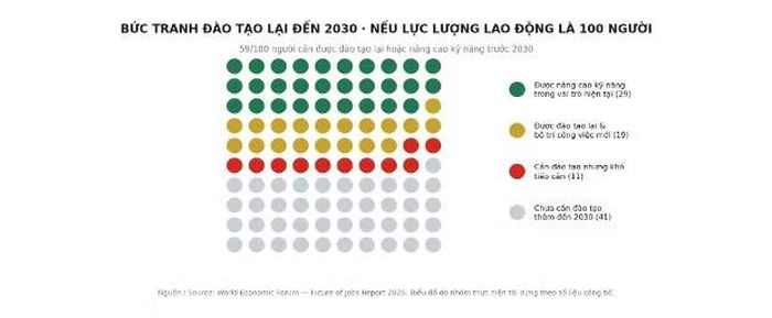 Bức tranh đào tạo lại đến 2030. Nguồn: WEF Future of Jobs Report 2025.