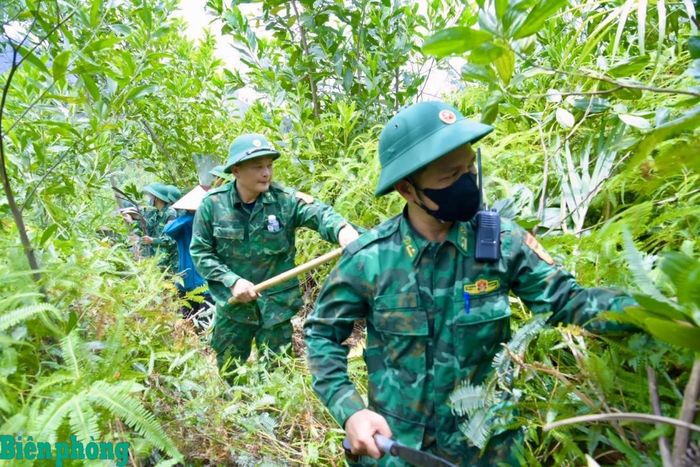 Khẩn trương phát đường băng cản lửa ngăn đám cháy lan rộng. Ảnh: Lê Thạch