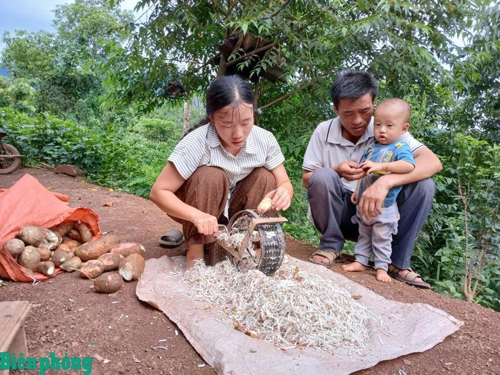 Sùng Thị Khoa giúp cha nạo sắn, phơi khô để làm thức ăn chăn nuôi gia súc. Ảnh: Trúc Hà