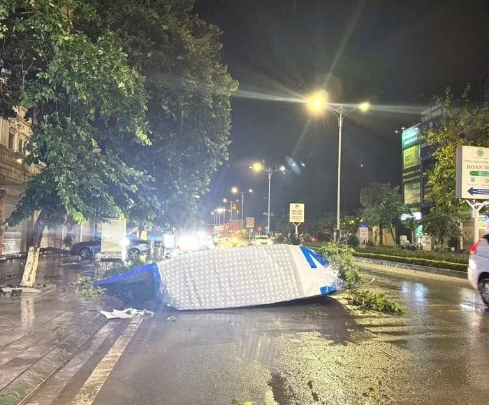 Biển quảng cáo và cây xanh tại một số tuyến đường ở phường Vĩnh Phúc bị gãy đổ.