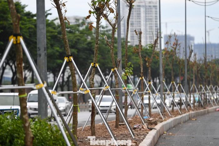 Việc điều chỉnh nhằm bảo đảm an toàn lâu dài cho công trình ngầm, hạn chế rủi ro trong mùa mưa bão, đồng thời duy trì cảnh quan xanh trên tuyến đường kết nối trung tâm Hà Nội với cầu Nhật Tân và sân bay Nội Bài.