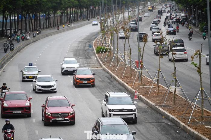 Tuy nhiên, phương án trồng cây nhận được nhiều ý kiến lo ngại do lớp đất trên dải phân cách chỉ dày khoảng 0,8m, bên dưới là hệ thống cống thoát nước lớn. Theo người dân, nền đất mỏng có thể ảnh hưởng đến khả năng sinh trưởng của cây và làm tăng nguy cơ đổ gãy khi gặp mưa bão.