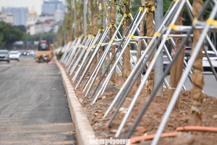 Phần lớn cây mới được trồng nên thân vẫn được chống đỡ bằng cọc gỗ, tán lá chưa phát triển đồng đều. Nhiều vị trí đang tiếp tục hoàn thiện hệ thống tưới để bảo đảm tỷ lệ sống của cây.