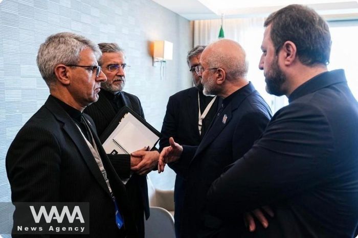 Các nhà đàm phán Iran. Ảnh: WANA