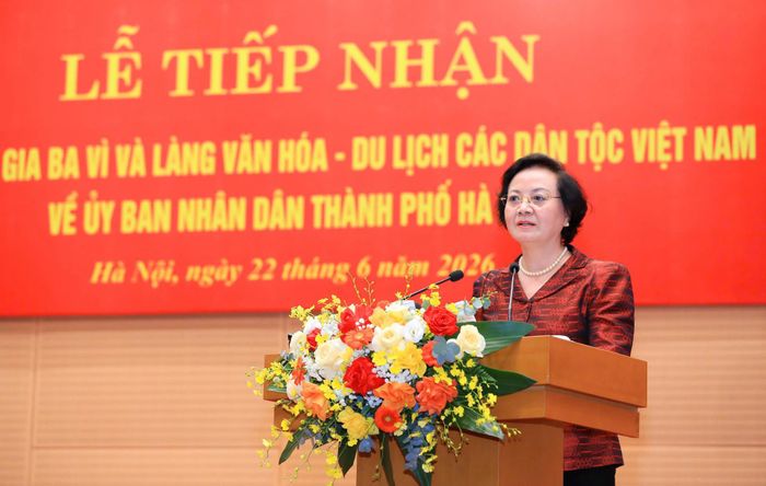 Phó Thủ tướng Phạm Thị Thanh Trà phát biểu