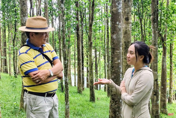 Nguyễn Thị Thùy Dung chia sẻ câu chuyện về trầm.