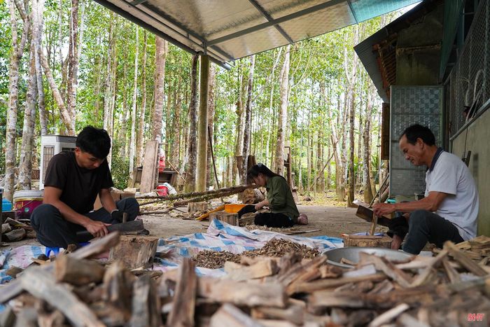 “Tổ hợp tác gia đình” của Thùy Dung.