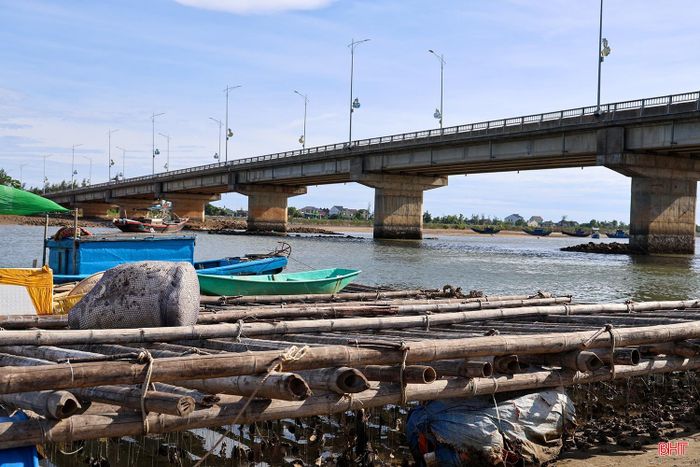 Hàng chục lồng bè nuôi trồng trái phép tại khu vực sông Vịnh thuộc phường Hải Ninh.