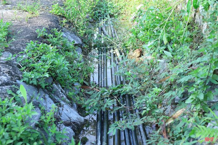 Ông Nguyễn Xuân Việt - Trưởng thôn Kim Tùng mong sớm có giải pháp để người dân vùng tái định cư Hói Trung có nước sinh hoạt ổn định, đảm bảo vệ sinh.