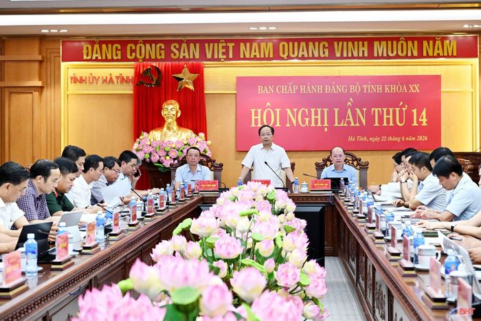 Ban Chấp hành Đảng bộ tỉnh Hà Tĩnh tổ chức Hội nghị lần thứ 14 để cho ý kiến tình hình kinh tế - xã hội 6 tháng đầu năm và các nội dung thuộc thẩm quyền.