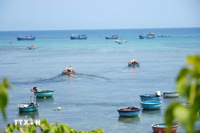 Đến với Hòn Yến, du khách được chở đi tham quan bằng những chiếc thuyền thúng của người dân địa phương. (Ảnh: Tuấn Anh/TTXVN)