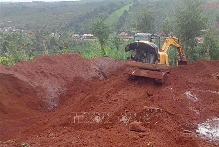 Tiêu hủy lợn nhiễm dịch tả lợn châu Phi tại xã Đức An, tỉnh Lâm Đồng. Ảnh: TTXVN phát