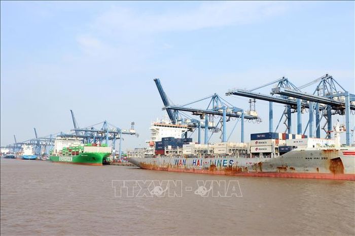 Các cảng tại TP Hồ Chí Minh luôn tấp nập các tàu làm hàng. Ảnh: Tiến Lực/TTXVN