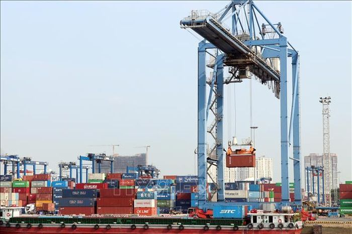 Các cảng tại TP Hồ Chí Minh luôn tấp nập các tàu làm hàng. Ảnh: Tiến Lực/TTXVN