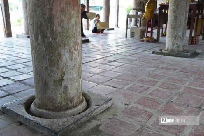 Bộ cột chính của hạ đình được kê trang trọng trên những tảng đá xanh hình vuông vững chãi. Điểm đặc biệt là trên mặt đá, các nghệ nhân xưa đã tỉ mỉ khoét một rãnh tròn bao quanh chân cột với chiều rộng và độ sâu tầm 3cm. Chi tiết thiết kế này đóng vai trò như một chiếc "bẫy sinh học" cô lập hoàn toàn cấu kiện gỗ với nền đất, nhằm ngăn không cho côn trùng, mối mọt leo lên xâm hại hệ thống cột đình bằng gỗ lim quý giá.