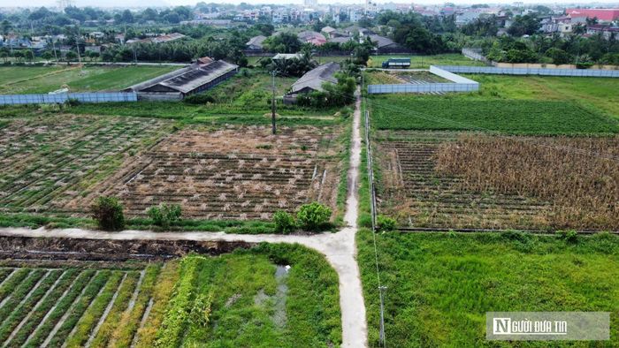 Diện tích đất nông nghiệp đã được GPMB, giao cho nhà đầu tư.