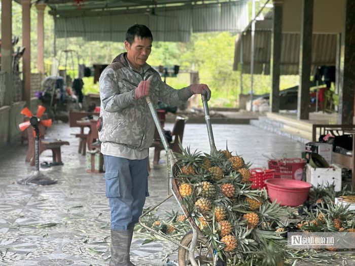 Sản phẩm được liên kết tiêu thụ với hợp tác xã góp phần tạo đầu ra ổn định.