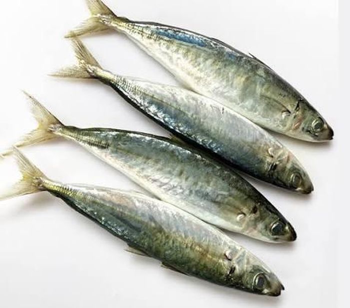 Cá nục.