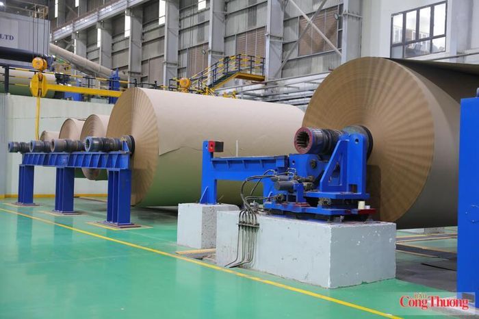 Ngành giấy có nhiều tiềm năng phát triển kinh tế tuần hoàn. Ảnh: Quỳnh Nga