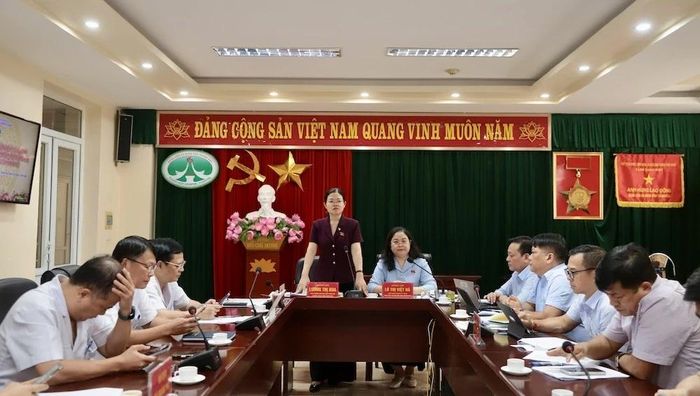 Phó Trưởng Đoàn Đại biểu Quốc hội chuyên trách tỉnh Thanh Hóa Lương Thị Hoa phát biểu tại buổi làm việc.