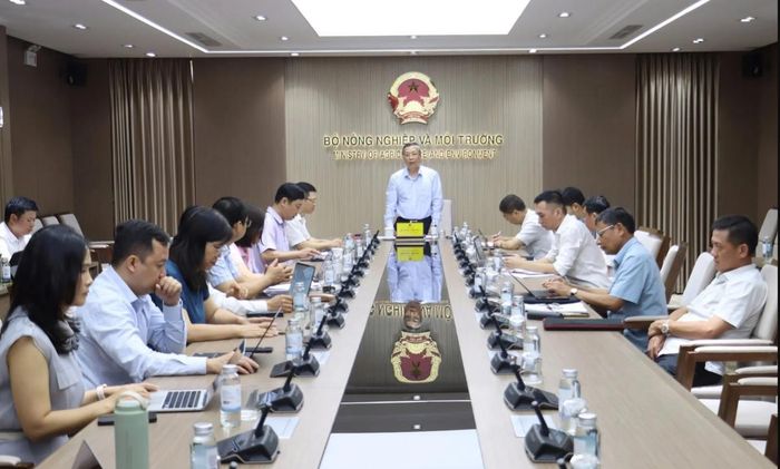 Thứ trưởng Hoàng Trung chủ trì cuộc họp.