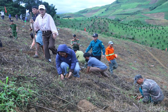 Đông đảo cán bộ, công chức, viên chức, lực lượng vũ trang tham gia trồng cây cà phê tại lễ ra quân.