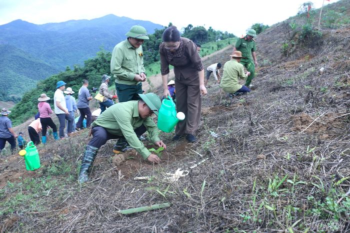 Các đại biểu tham gia trồng cây cà phê tại lễ ra quân.