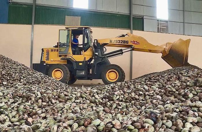 Kho tập kết hạt điều từ Campuchia về của Công ty TNHH Quang Sáng Đức Cơ (xã Ia Dom). Ảnh: Hà Duy