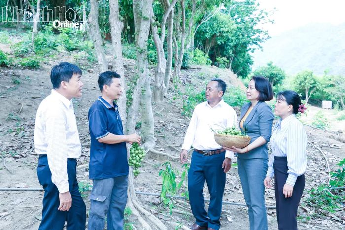 Các đại biểu tham quan mô hình trồng dâu da của hộ nông dân giỏi tại xã Khánh Vĩnh.