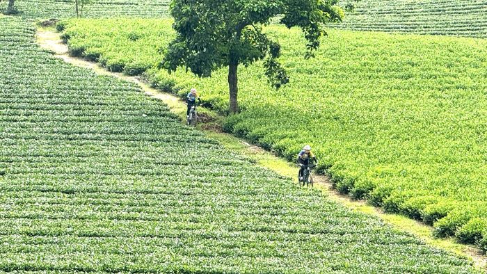 Cung đường đua sẽ đi qua những khu vực có cảnh quan thiên nhiên tươi đẹp.