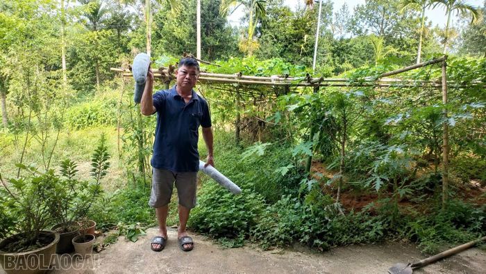 Bên cạnh công tác ở thôn, ông Trần Xuân Trường còn tích cực phát triển kinh tế gia đình.