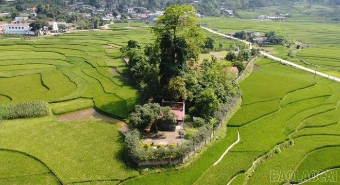 Toàn cảnh di tích Đền Tượng, xã Hợp Thành.