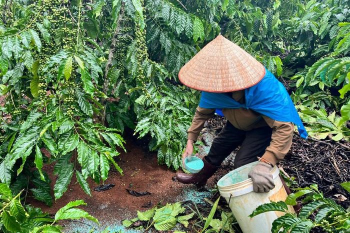 Vật tư nông nghiệp chất lượng góp phần cho nông sản và an toàn cho người tiêu dùng