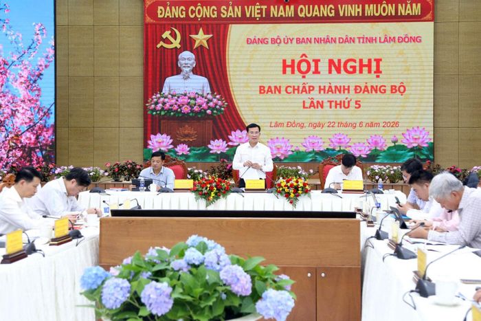 Trong 6 tháng đầu năm, với sự nỗ lực của Ban Chấp hành Đảng bộ, Ban Thường vụ Đảng ủy, UBND tỉnh đạt nhiều kết quả trên các lĩnh vực