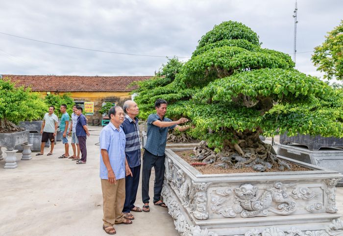 Các nghệ nhân giao lưu chuyên môn tại Trung tâm Triển lãm và giao lưu các sản phẩm cây cảnh nghệ thuật xã Hải Tiến.