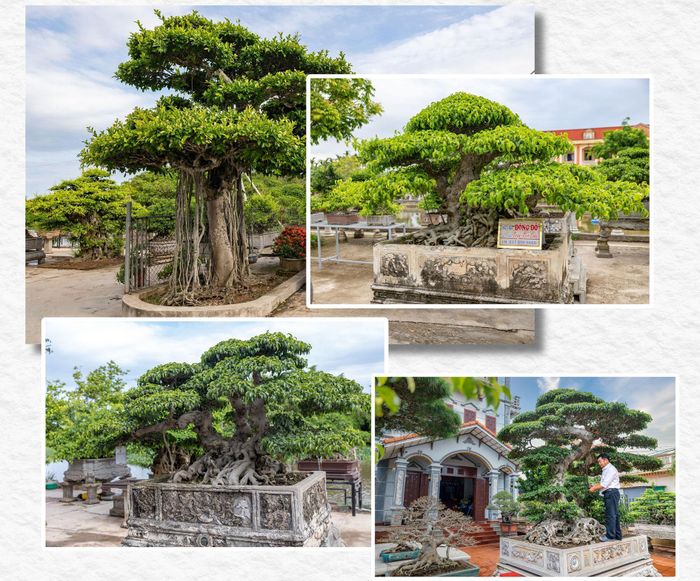 Từ những vùng đất canh tác kém hiệu quả, sinh vật cảnh vươn lên trở thành mũi nhọn kinh tế địa phương.