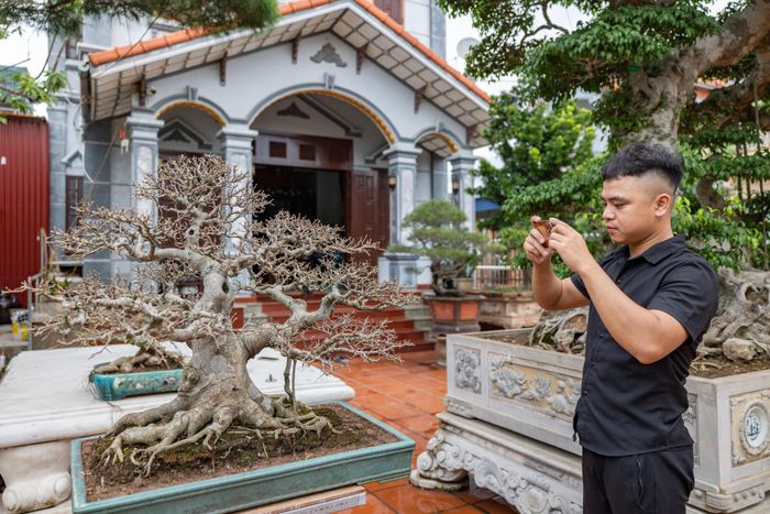 Ứng dụng công nghệ và nền tảng mạng xã hội giúp các nhà vườn ở Hải Tiến tự chủ khâu tiếp thị, kết nối trực tiếp tác phẩm với giới thưởng ngoạn toàn quốc.