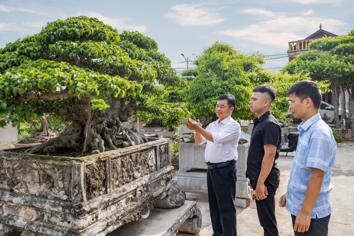 Nghệ nhân Hải Tiến trao truyền kỹ năng cắt, tỉa cây cho thế hệ kế cận.