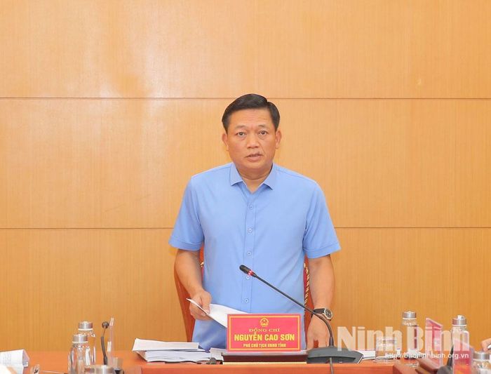 Đồng chí Nguyễn Cao Sơn, Tỉnh ủy viên, Phó Chủ tịch UBND tỉnh phát biểu kết luận hội nghị.