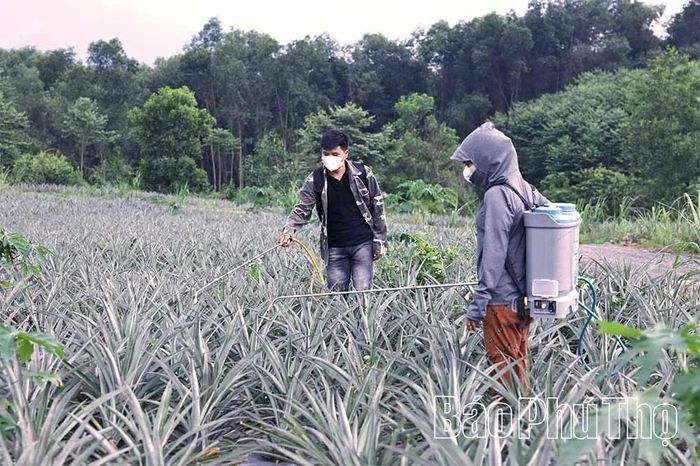 Kéo giãn thời gian lao động về sáng sớm và chiều tối để bảo vệ sức khỏe trong những ngày nắng nóng gay gắt.