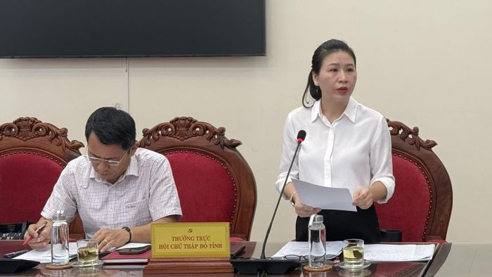 Đại diện Thường trực Hội Chữ thập đỏ tỉnh báo cáo công tác chuẩn bị đại hội - Ảnh: N.L