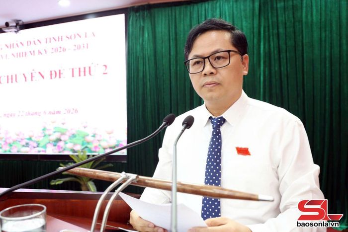 Đồng chí Phó Chủ tịch HĐND tỉnh trình bày dự thảo nghị quyết tại kỳ họp.